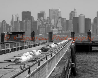 Liberty Island - New York City, Statue of Liberty, Sea Gulls, Pier, Hudson River, Financial District, NYC, Ferry, Lady Liberty