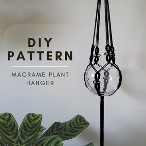 May include: A clear glass globe plant holder suspended by a black macrame hanger. The text "DIY PATTERN MACRAME PLANT HANGER" is displayed on the left. Green and white striped leaves are visible at the bottom.