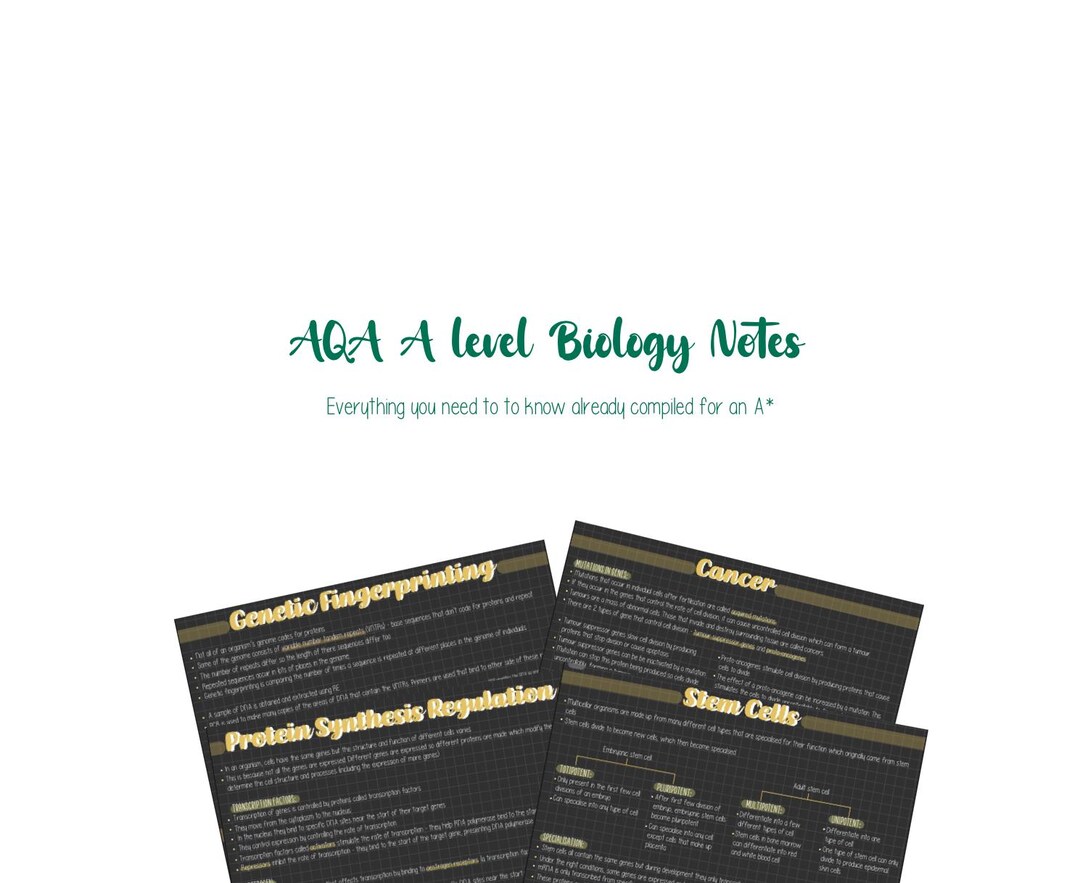 AQA A-level Biology Notes - Gene Expression - Etsy