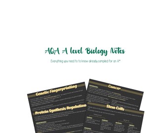 AQA A-level Biology Notes - Gene Expression