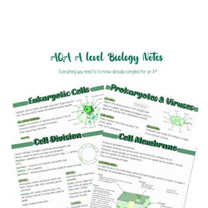 以下が含まれることがあります： AQA Aレベル生物学の緑と白のイラスト入りノート。ノートには、真核細胞、原核生物、ウイルス、細胞分裂が記載されています。ノートには図とテキストが含まれています。