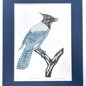 May include: A blue jay art print on white paper, matted in a navy blue frame. The bird is perched on a branch, with blue and white feathers and a black head. The print is signed and titled "Steller's Jay."