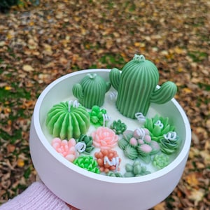 A garden of novelty and cute Cactus and Succulent Candles in different shapes of bowls and containers