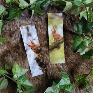 Segnalibro in carta originale scoiattolo animali della foresta fronte-retro