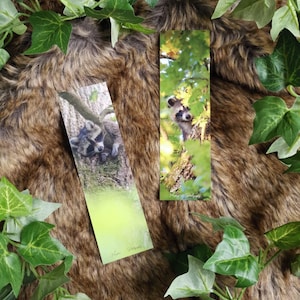 Segnalibro di carta procione procione animali della foresta fronte-retro