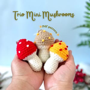 Crochet Pattern Mushroom | Amigurumi Mushroom Pattern | Trio Mini Mushroom Crochet Amigurumi Pattern | No Sew Crochet Pattern | English PDF