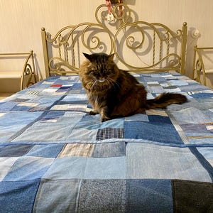 • Material: Made with high-quality, upcycled denim and soft cotton fabric for durability and comfort.
 • Design: A beautiful patchwork pattern featuring various shades of blue, accented by pops of color for a modern, rustic aesthetic.