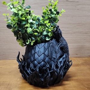 May include: Black dragon egg planter with a green plant inside. The egg is made of a 3D printed material and has a textured surface. The dragon is emerging from the egg.