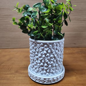 May include: White ceramic planter with a skull design, featuring a green leafy plant.