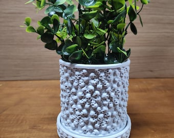 Skull planter with water tray