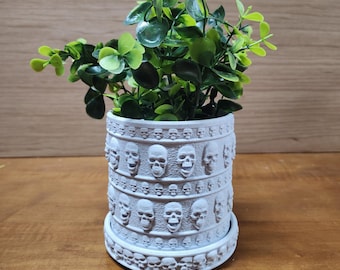 Skull planter with water tray