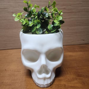 large Human Skull Planter / Decorative Bowl – Gothic Home & Office Décor