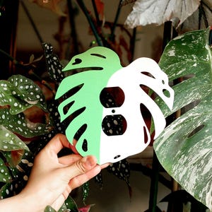 Peut inclure: Un cache-prise décoratif en forme de feuille de Monstera fendue, moitié vert clair et moitié blanc. Le cache est tenu devant des feuilles de plantes vertes et panachées. Le cache comporte deux trous de prise.