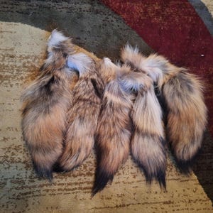 2nd quality coyote tails