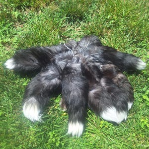 2nd quality extra dark silver fox tails