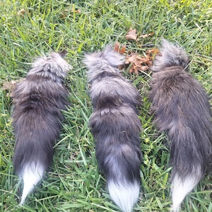 xl silver fox tail