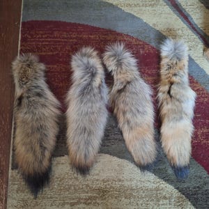 A+ quality huge coyote tails