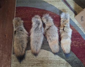 A+ quality huge coyote tails