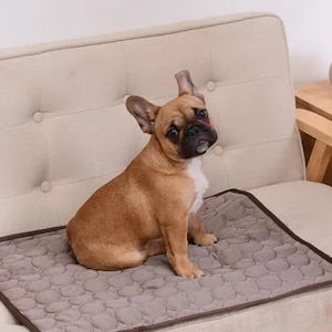 Cooling Dog Mat – Summer Pet Pad for Dogs & Cats, Breathable Washable Sofa Bed, Small to Large Sizes