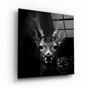 Deer Tempered Glass Wall Art, Living Room and Bedroom Wall Decor, Wildlife Glass Art, Nature Wall Decor, Large Wall Art, Mothers Day Gift