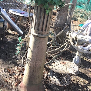 Puede incluir: Una columna de hormigón gris desgastada con una base cuadrada y una parte superior estriada. La columna está coronada por una maceta llena de hiedra verde.