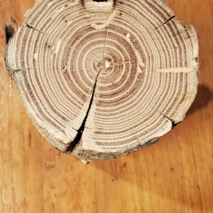 Weathered Black Locust wood slices
