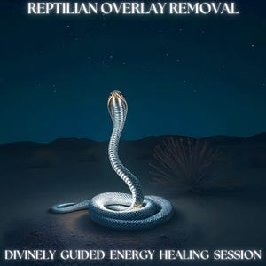 Reptilian Overlay Removal - Divinely Guided Energy Healing Session - Includes Report + Integration Advice