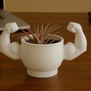 May include: A white ceramic planter shaped like a cup with two muscular arms flexing outwards. The planter holds a small plant with reddish-brown leaves. The planter is on a wooden surface.