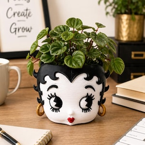 May include: A black and white planter shaped like Betty Boop, with a red lip and gold earrings, holding a green plant. The planter sits on a wooden desk with a framed print that says "Focus Create Grow".