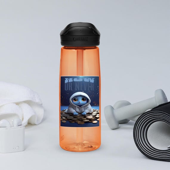 Sports water bottle