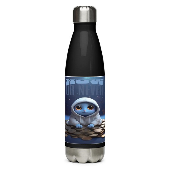 Stainless steel water bottle