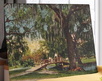 Audubon Park New Orleans Glass Cutting Board, Vintage Kitchen Decor