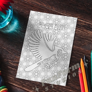 Blue Jay Coloring Page, Bird Coloring Page, Digital Download, Adult Coloring, Intricate Pattern, 8.5x11 Printable Art