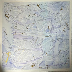 Natura astratta - Pezzo unico e dipinto a mano, acquarelli e china su carta satinata  Fabriano Artistico 640 g (50x50cm)