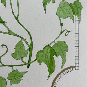 Verde di primavera- pezzo unico e dipinto a mano, acquarelli e china su carta satinata (23 x 31 cm)