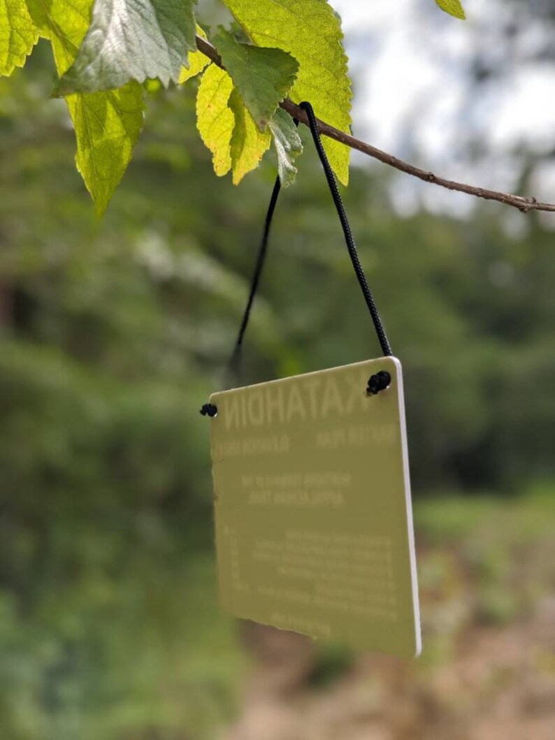 Puede incluir: Un cartel blanco con texto negro colgado de una rama de &aacute;rbol. El cartel dice "MIDNIGHT TAXI" con un n&uacute;mero de tel&eacute;fono y una direcci&oacute;n debajo.