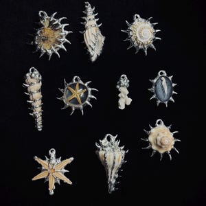May include: A collection of ten pendants featuring various natural seashells, starfish, and coral pieces encased in silver-toned metal frames with pointed, spike-like prongs. Each pendant includes a small metal loop at the top for attachment.