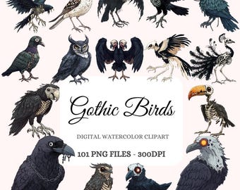 May include: A digital watercolour clipart set of 13 gothic birds. The birds are in various poses and have a dark, skeletal aesthetic. The set includes ravens, owls, vultures, and other birds. The text "Gothic Birds" is written in a decorative font. The text "Digital Watercolour Clipart" and "101 PNG Files - 300DPI" is also included.