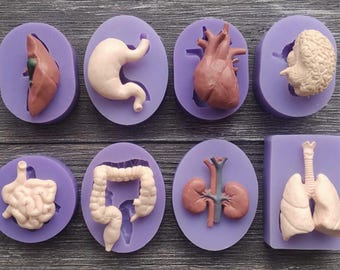 Different Human Internal Organs Silicone Mold Fondant Cake Decorating Tools Chocolate Mold Cake Fondant Mold