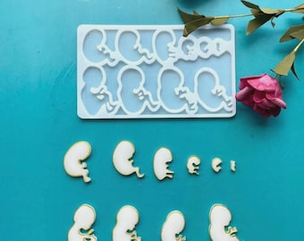 Silicone molds, Human Baby Figure Mini Dolls Organs Anatomy Skeleton Medicine Teaching Maternal Fetus