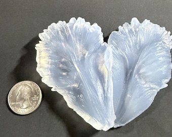 Parrot Tulip Petal Veiner Silicone Mold Cold Porcelain Fondant Gumpaste Sugar Clay Flower Mould Cake Decorating Tools