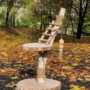 Peut inclure: Un arbre à chat en bois naturel avec une base ronde, un tronc central et une plateforme circulaire. Une petite échelle est fixée au tronc. L'arbre est décoré de corde et d'éléments en bois, et est installé à l'extérieur parmi les feuilles mortes.