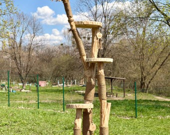 Luxury Oak Cat Tree – 198 cm Tall Wooden Cat Tower with Shelves, Heavy Stable Cat Scratcher, Handmade Natural Cat Furniture