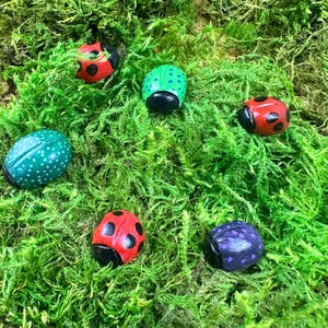 Handmade Polymer Clay Bug Magnets – Cute Insect Fridge Magnets | Whimsical Mini Bug Decor | Unique Clay Gifts - Custom
