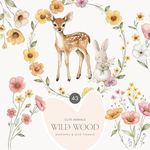 Clipart di fiori selvatici ad acquerello - Animali del bosco - Animali carini - Bordure di fiori selvatici - Fiori selvatici - Fiori del bosco