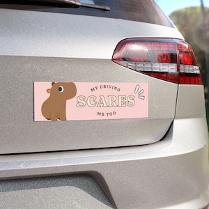 Bumper Sticker Magnetic Funny Magnetic Bumper Sticker Meme Car Magnet Personalized magnets Custom bumper sticker girly bumper sticker