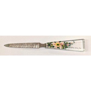 Vintage lucite hand painted Hershey Park PA souvenir nail file