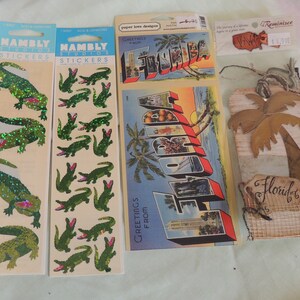 REDUZIERTER PREIS!!! Florida Scrapbook Stickers Ephemera 2 unbenutzte Packungen 1 unbenutztes 3D-Tag 1 unbenutzte Karte Alligators Palme