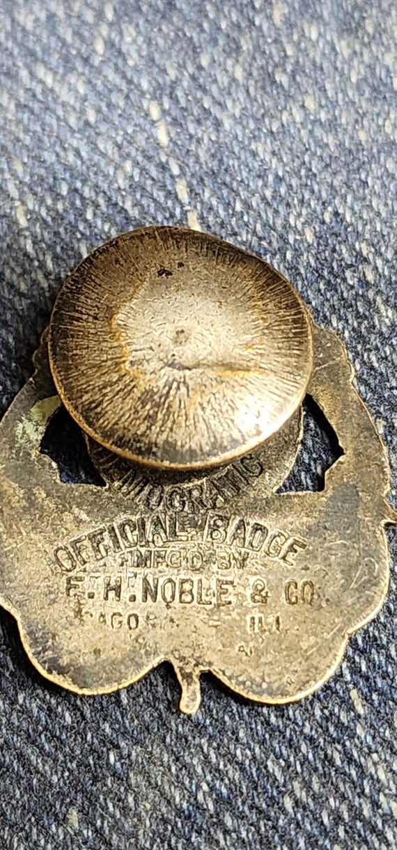 Democratic Button Pin - image 4