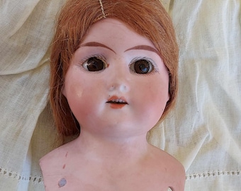 Beautiful Antique German LILLY Bisque Doll HEAD. Brown eyes, Teeth, Original mohair wig. Mold 11/0. RARE